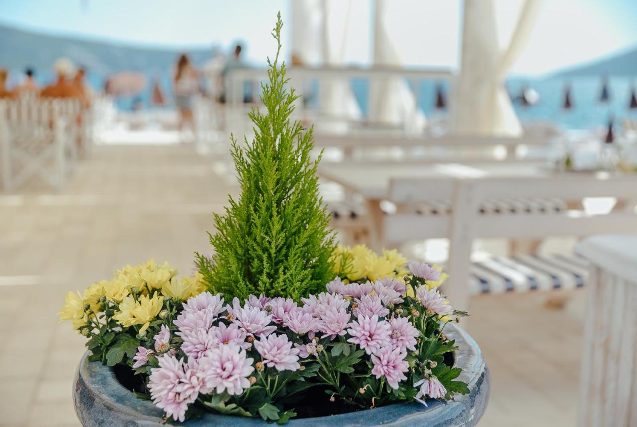 Apartmani Laban Herceg Novi Dış mekan fotoğraf